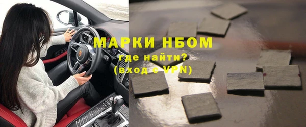прущие грибы Медвежьегорск