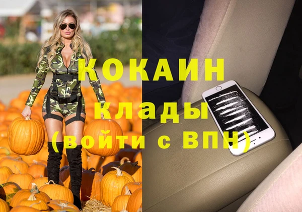 прущие грибы Медвежьегорск