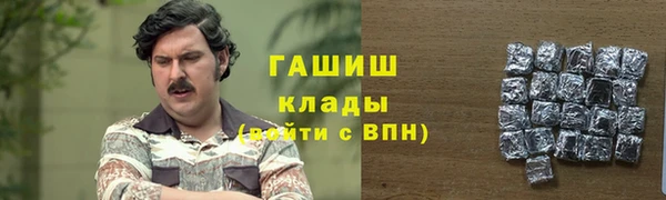 прущие грибы Медвежьегорск