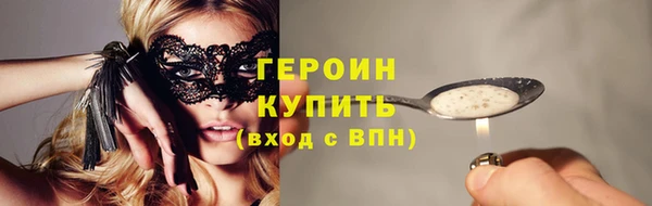 прущие грибы Медвежьегорск
