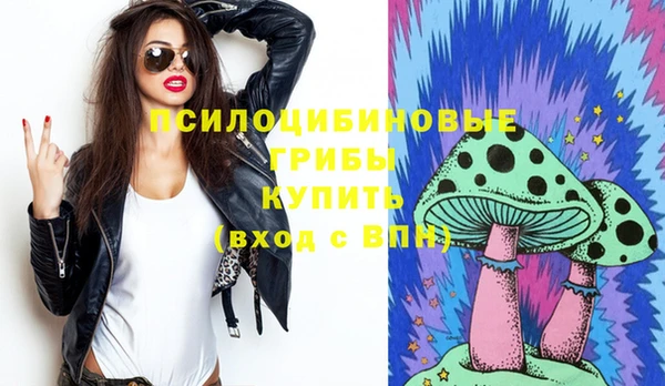 прущие грибы Медвежьегорск