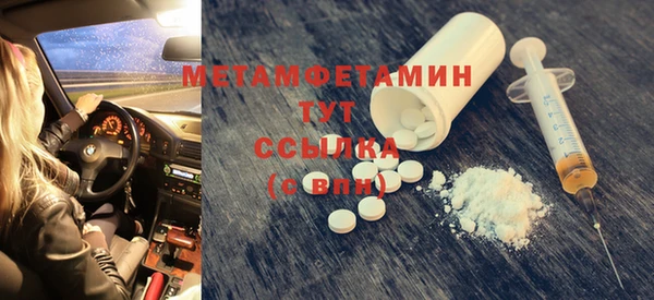 прущие грибы Медвежьегорск