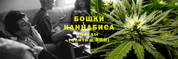 прущие грибы Медвежьегорск