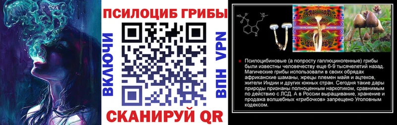 Галлюциногенные грибы Cubensis  Купить закладки  Менделеевск 